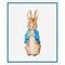 Peter Rabbit inspired by Beatrix Potter Counted Cross Stitch Pattern